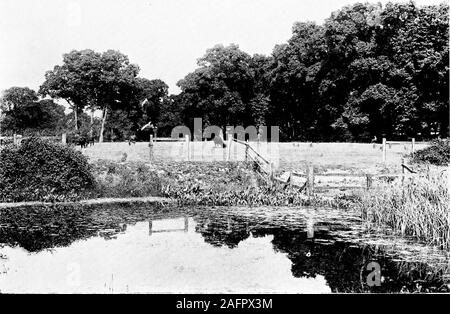 . Letchworth Garden City in 55 Bildern. 58. Eine pastorale Szene aufder NORTONROAD 59 THECORNER OFCROFT LANE Stockfoto