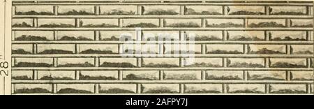 . "Armco 'Eisernen Rost - Widerstand gegen Produkte.. ROCK-FACE BRICK Abb. 29.. V/aJC^ l&gt; Dill ml)? illll II .1??!?? IU-JJt Stockfoto