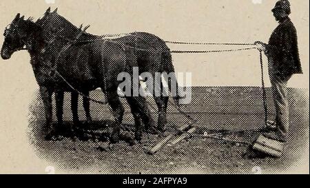 . Biggle Garten Buch; Gemüse, kleine Früchte und Blumen für Vergnügen und Profit. Der frühe Frühling ist die übliche Zeit, althoughfall - pflügen Vorteile hat, wenn der Boden issoddy oder schlecht geplagt mit wireworms, Cutworms, Maden, etc. Wie tief zu pflügen? So tief wie Sie canwithout, die viel von der Untergrund. (Subsoilplowing erfordert eine separate Pflügen mit einem specialkind eines Pfluges, um den Unteren stratawithout auf der Oberfläche zu lösen; wenige Gärtner, jedoch diese zusätzliche Mühe und Kosten,wenn Sie haben einen tiefen, weichen, gut durchlässige Aussaaterde. Butsubsoiling häufig zahlt. Es nee Stockfoto
