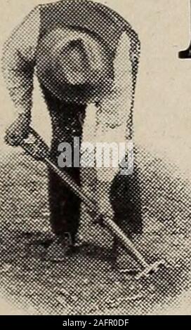 . Biggle Garten Buch; Gemüse, kleine Früchte und Blumen für Vergnügen und Profit. Rd - weniger von den Bodenbedingungen, schlechtes Wetter, masern in der Familie, oder ob thearea von Hand ist eine squareacre oder ein Quadrat Stange. Aber, natürlich, wenn man eine Chance hat, zur Auswahl der siteand den Boden, gut tis Wissen whatto wählen. LccATiON DES GARTEN. - Falls es ein familygarden zu sein, die hauptsächlich zu liefern eine seasonsupply frische Sachen für den Tisch, die Loca- sollte man praktisch auf das Haus, nicht aber handyto die Henne - Haus. Wenn es sich um eine LKW-Garten zu sein, in erster Linie für Gewinn, Nähe zu Stockfoto