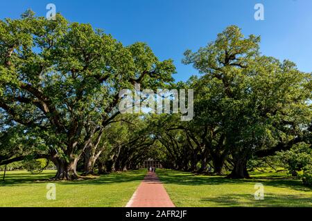 APRIL 27, 2019, VACHERIE Louisiana, USA - Oak Alley Plantation am Highway 18 entlang des Mississippi River, in der Nähe der Vacherie, Louiasana Stockfoto