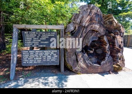 Mai 31, 2019, N KALIFORNIEN, USA-Allee von Riesen und riesigen Redwood Forest entlang der Route 101 in N Kalifornien Stockfoto