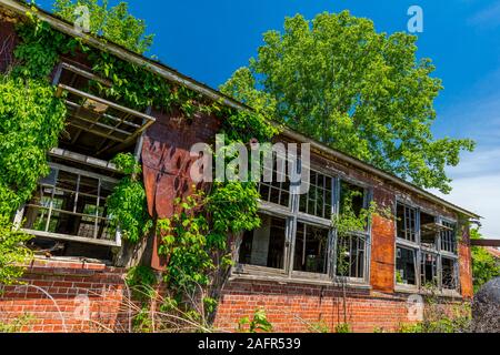 17. Mai 2019, GASCONADE County, Missouri USA verlassenen Fabrik in Gasconade County Missouri entlang, wo Lewis und Clark gestoppt Stockfoto