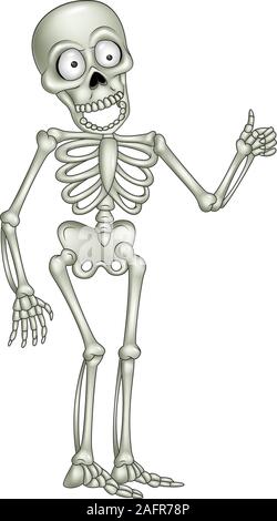 Cartoon lustig Skelett auf weißem Hintergrund Stock Vektor