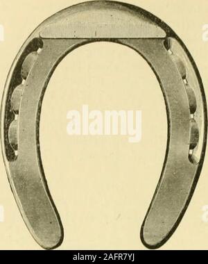 . Die standard Pferd Buch, bestehend aus der Zähmung, Controlling und Bildung der unversehrten und bösartige Pferde. Vui. mA. 400. Beschlag.. Stockfoto