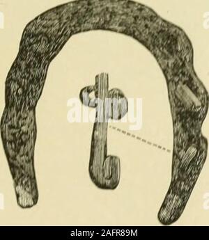 . Die standard Pferd Buch, bestehend aus der Zähmung, Controlling und Bildung der unversehrten und bösartige Pferde. Fin (IHa) I&lt; Ich. (1 Uhr: j.. Stockfoto