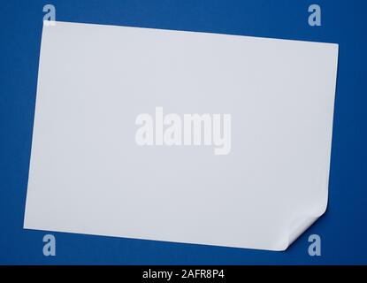 Leeres weißes Blatt Papier mit einer gewellten Ecke auf blauem Hintergrund, kopieren Raum Stockfoto