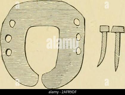 . Die standard Pferd Buch, bestehend aus der Zähmung, Controlling und Bildung der unversehrten und bösartige Pferde. Abb. 611.- Französische Schuh forAiding Mobilität.. Stockfoto