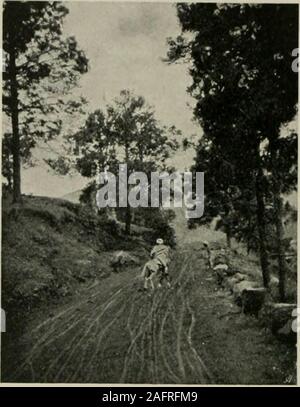 . 1627-1630 und westlichen Himalaya 1909, ein Bericht über die Expedition von H. R. H. Prinz Luigi Amadeo von Savoyen, Herzog der Abruzzen. d uns alle vier oder sixmiles, entsprechend der steepnessof der Straße. Wenig Zeit war der Kabelbaum ist extremelysimple lostsystem. Es gibt keine Schnallen, Gurte nicht und keine Spuren. Es gibt nur Abar, die die Pole Kreuze und passt in zwei Klaviere in thesaddles des Kabelbaums befestigt. Die zerklüftete und schmutzig Postillion sitzt neben dem Fahrer und mit theharsh und schrillen stellt fest, der seine Horn macht den Weg frei der Karren, ekkasand Tongas, die wir treffen und halten. Die Wir Stockfoto