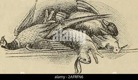 . Kingussie und Oberen Speyside (badenoch): Einen beschreibenden Leitfaden für den Bezirk, mit Karte von badenoch. W. Campbell,^ ishTnonger und Truthahn, gynack Street, KINGUSSIE. Frische Vorräte der Fische dreimal täglich. Alle Arten in tiieir Saison. Schießen Lodges und private Familien zeitnah geliefert..l^ ure Block Eis, Fisfi gekleidet zu bestellen. JAMES GIBSON, High Class Ladies andQent. KINGUSSIE DURCH BEVORMUNDET die führenden Familien s Bailor,. HARRIS TWEED, PORTREE TWEEDS und HOMESPUNS. Muster und Preise auf Anfrage. Stockfoto