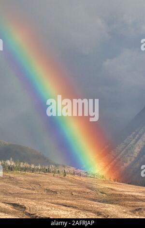 Brillante Farben eines Regenbogens über der West Maui Berge. Stockfoto