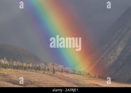 Atemberaubender, brillanter Regenbogen über den West Maui Bergen auf maui. Stockfoto