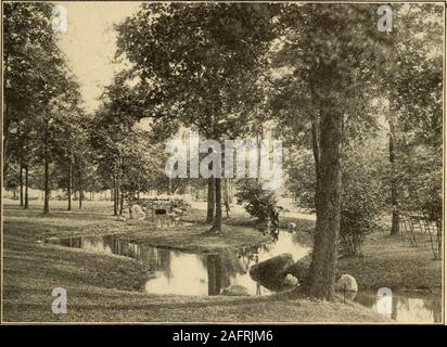 . Gesundheit in Haus und Stadt. Abraham Lincoln Statue von St. Gaudens im Lincoln Park, DIE PARKS UND SPIELPLÄTZE iSi County Parks. - Die Linie County Park systemin Amerika ist in Essex County, New Jersey. Thiscontains drei große Vorbehalte, sechs Parks, und con stromlos sein, Alleen, von denen einige immer noch gebaut werden. Der South Mountain Reservierung ist für seine Wunder-schön Berglandschaft, seine Wasserfälle und seine Wälder. Ein gepflegter Park Eagle Rock Buchung enthält einen hohen und famouscliff, Eagle Rock, sechshundert Meter über Ebbe - Wasser. Von diesem Punkt aus eine herrliche Aussicht oftown erlangt werden kann, Co Stockfoto