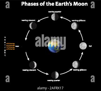 Diagramm mit Phasen der Mond Abbildung der Erde Stock Vektor