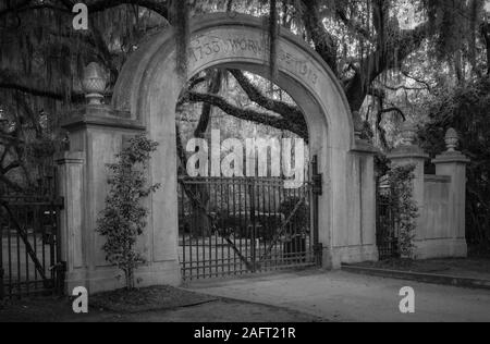 Die Wormsloe Historic Site, informell bekannt als Wormsloe Plantation, ist eine staatliche historische Stätte in der Nähe von Savannah, Georgia, in den Vereinigten Staaten. Stockfoto