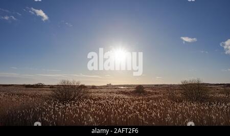 Auf der Suche nach Sizewell Suffolk an einem schönen Tag Stockfoto