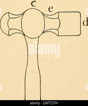 . Das 20. Jahrhundert toolsmith und steelworker; eine vollständige, praktischen und wissenschaftlichen Buch. Veranschaulicht, wie fulleringis nach Auge ispunched.. Zeigt die Seitenansicht der Ham-mer abgeschlossen mit eyespread bei c, (die isdone mit einer volleren solangedie Auge Stift in der eyeof der Hammer) und Ful ist - bei e lered, mit alarger Fuller am Ende. Abb. 13. Die anzeigt, wie hammeris geschmiedet. TOOLSMITH UND STAHL ARBEITNEHMER 49 Faltenbalg, sagte er: "^ nie Hitze ein Stück Stahl hotenough Maßstab zu erhöhen, (und natürlich an, dass timeI dachte, die Beratung gut war), aber wir workedaway, das Auge gelocht, Stockfoto