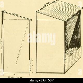 . Geflügel Häuser und Befestigungen. Wie zu legen Sie Geflügel Pflanzen ... Abb. 200 - QUERSCHNITT DES GRAINAND MASH HOPPER FÜR IN-DOOR UND AUSSENBEREICH - METALL FUTTERTROG mit DIVIDINGBOARD. Abb. 201 - EINFACHE HOPPER FÜR TROCKENE MASH FÜTTERN 98 GEFLÜGEL HÄUSER UND BEFESTIGUNGEN Stockfoto