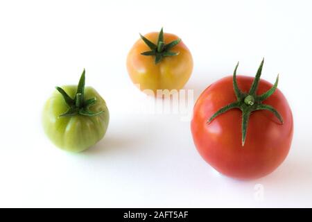 Tomaten wachsen Fortschritt zeigt auf weißem Hintergrund. Gesundheit Konzept Stockfoto