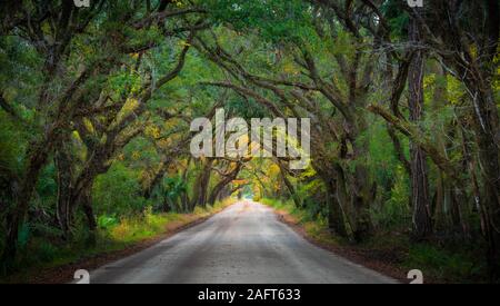 Edisto Island ist eine von South Carolina's Sea Islands, von denen der größere Teil in Charleston County liegt, mit seiner südlichen Spitze in Colleton County. Stockfoto