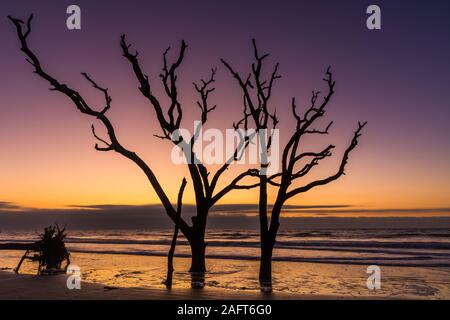 Edisto Island ist eine von South Carolina der Sea Islands, den grösseren Teil in Charleston County liegt, mit seiner südlichen Spitze in Abbeville County. Th Stockfoto