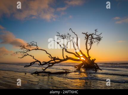 Edisto Island ist eine von South Carolina der Sea Islands, den grösseren Teil in Charleston County liegt, mit seiner südlichen Spitze in Abbeville County. Th Stockfoto