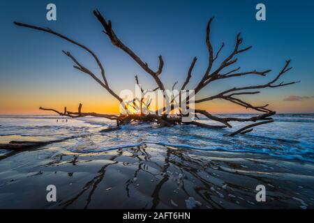 Edisto Island ist eine von South Carolina der Sea Islands, den grösseren Teil in Charleston County liegt, mit seiner südlichen Spitze in Abbeville County. Th Stockfoto