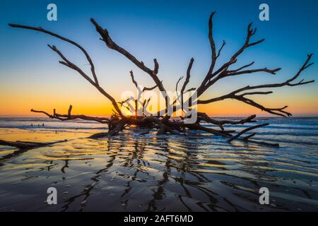 Edisto Island ist eine von South Carolina der Sea Islands, den grösseren Teil in Charleston County liegt, mit seiner südlichen Spitze in Abbeville County. Th Stockfoto