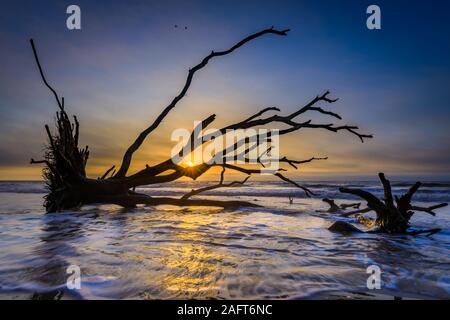 Edisto Island ist eine von South Carolina der Sea Islands, den grösseren Teil in Charleston County liegt, mit seiner südlichen Spitze in Abbeville County. Th Stockfoto