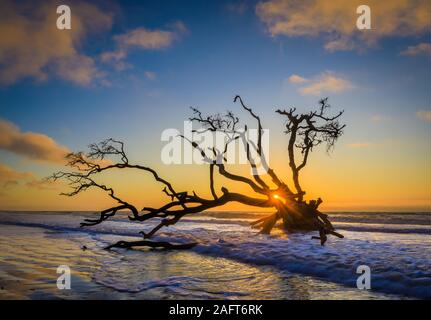 Edisto Island ist eine von South Carolina der Sea Islands, den grösseren Teil in Charleston County liegt, mit seiner südlichen Spitze in Abbeville County. Th Stockfoto