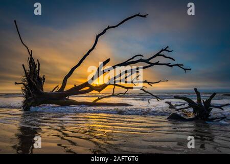 Edisto Island ist eine von South Carolina der Sea Islands, den grösseren Teil in Charleston County liegt, mit seiner südlichen Spitze in Abbeville County. Th Stockfoto