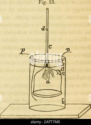 . Elemente der wissenschaftlichen und praktischen Landwirtschaft: oder, Die Anwendung von Biologie, Geologie und Chemie in der Landwirtschaft und im Gartenbau. I mpuls w. Es scheint eine Eigenschaft von allen dünn, mem-branous Stoffe, wenn Flüssigkeiten unterschiedlicher Dichte, andelectro-Motiv Befugnisse werden auf jeder Seite der mem-brane besessen zu sein. Das folgende ist eine mechanische Abbildung dieses Cu-rious Eigenschaft. Abb. 13 representsthe endosmometer. Itconsists einer kleinen Glocke - Glas Empfänger ein, miteinem Glas Rohr c, öffnen Sie atboth endet, und Akku gesondert auf die ap-erture in der oberen c. über der Mündung des thereceiver ist s Stockfoto