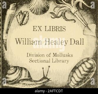 . Muscheln und Meer - das Leben. ? 1 ft4 ich fi-^-^ 11 Ul! r^L:-^"*, vO^&lt; z COLLEGE GRÜNDER TOT. Frau Susan Lincoln Mühlen Succumbsat Alter von Eighty-Seveuy^^^ OAKLAND, Cal., Dezember 13.- SusanLincoln Mühlen, Gründer des Mills College, der ersten Hochschule für Frauen auf der Pacifiescoast, starb letzte Nacht hier an ihrem Haus, auf dem Gelände einer Schule oder Hochschule. Weniger als ein monthago feierte sie ihr 80-jähriges Bestehen. seventhbirthday Frau Mühlen wurde in Massachusettsin 1825 geboren. Sie war von MountHHolyoke Seminar 1845, wo shetaught bis 1849 graduierte. Mit ihrem Ehemann, theRev. Cyrus T. Mühlen, ging sie zu Benicia. CaL, ich Stockfoto