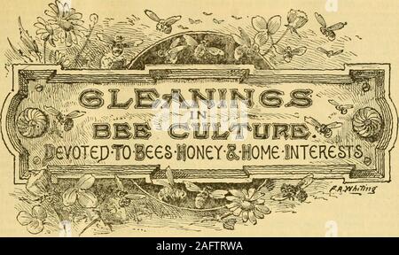 . Nachlese in Biene Kultur. Ith anv Nachfrage; noch nie bekannt thedemand so Licht werden; 7 @ 8 c ist Fsme-Bereich. Beeswaxscarce bei 30 (® 37 C. R. A. Burnett, Apr.23,1884. 161 South Water St., Chicago, 111. 9 Deckel Sterling, WHITESIDE CO. Krank. SMr. J. B. SiiERRiCK, aktionspakete Detroit. - Honig - Es ist aber wenig ändern inder Honig Markt seit der letzten Berichte, wenn überhaupt, ist die Nachfrage sogar Les? Das Aufkommen der sinca warmweather. Ein guter Artikel ist bei 16 Angeboten @ l 9 e, Withbut wenige Käufer. Vie knapp bei 35 C. A. B. Unkraut, April 36,1884. Detroit, Michigan KTO RKF.- • fTim - F*r 5 t-I IA der ältesten Biene - keepersin Ceiurnl Stockfoto