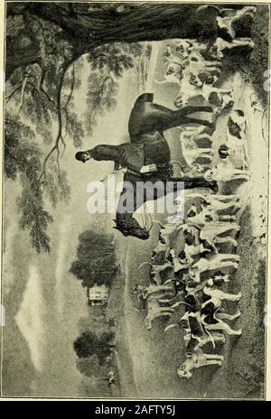 . 50 Jahre 'Fuchs - Jagd mit den Grafton und andere Verpackungen von Jagdhunde. Die Turnpike Straße; dann hispack gezählt, die Jäger nahm Urlaub von einander, jeder wandte sich zu Hause und jeder seinen eigenen Master houndfollowed. Tom Winfields Vortrag. Am Ende des Monats Juni 1847^ wentby Termin in Bicester Zwinger mit TomSmith zu sehen Winfield und Herr Erpel pack. Tom war einer der Naturen Herren, ein Mann ratherangular in Abbildung, groß, aber nicht sehr schwer. Kein Mensch war mehr intelligente oder besaß eine moreagreeable Stimme als Winfield. Im Gespräch hewas extrem hell und unterhaltsam; er Stockfoto