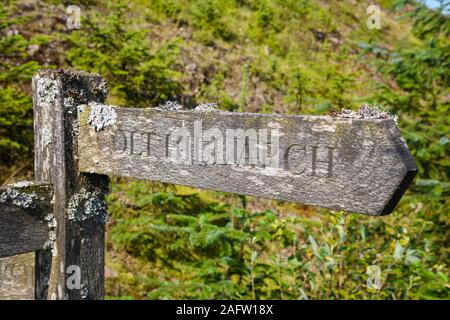 Mit Flechten überdachter Fußweg zu The Striding Arches, Dumfries & Galloway, Schottland Stockfoto