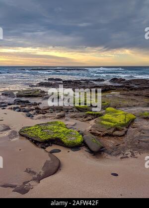 Sonnenaufgang auf einem zerklüfteten, felsigen und sandigen Strand mit grünen Algen bewachsenen Steinen auf der Great Ocean Road bei Sugarloaf, in der Nähe von Apollo Bay in Victoria, Australien Stockfoto