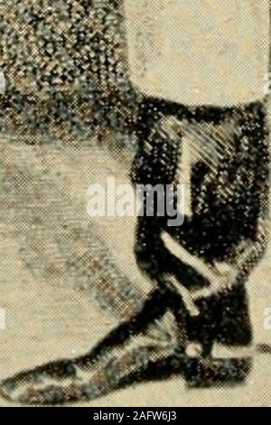 . 50 Jahre 'Fuchs - Jagd mit den Grafton und andere Verpackungen der Jagdhunde. Stockfoto