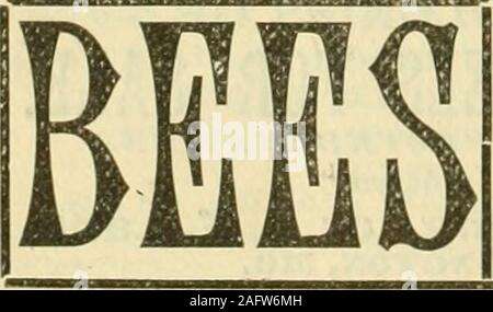 . Nachlese in Biene Kultur. Williamson, AVnyne Co., N.Y., 12 1 3579 11 13 d ALBINO*^ ITALIENISCHE QUEENS, Bienen^ VERBRAUCHSMATERIALIEN FÜR 1884 Hauptsitz FÜR DAS ALB 8.NR. Für Schönheit, für Güte und für große Erträge von Honig, der Albino Biene voran. Letzte Saison haben wir Kolonie zu C, increasedone, aus denen wir nahmen 0.500 Pfund Wabenhonig, und alle hatten reichlich Stores für die Überwinterung. Wehave ein schwereres Material von Bienen als je zuvor und wird beable t.) 1 urnish Königinnen in großer Zahl. Wehave fügte auch für unsere Gebäude, und erhöht unsere Einrichtungen lor Nesselsucht, Kamm Stiftung und ApiarianSupplies im Allgemeinen. Seud für Preis Stockfoto