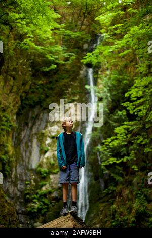 Neugierige Junge in Wäldern mit Wasserfall, Goldstream, British Columbia, Kanada Stockfoto