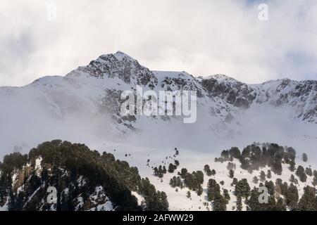 Blick über eine Schweizer Kiefer Pinus cembra Wald und Berge in den österreichischen Alpen. Kaunertal, Tirol. Stockfoto