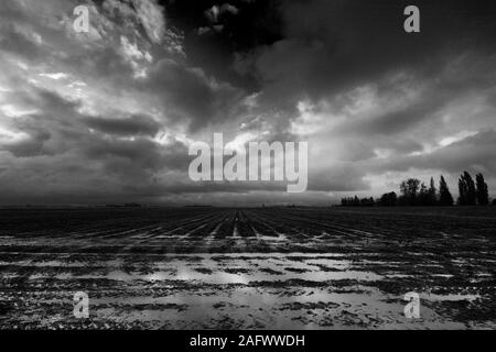 Sturm über schwarzer Erde Felder in der Nähe von Ramsey town, Flussauen, Cambridgeshire, England, Großbritannien Stockfoto