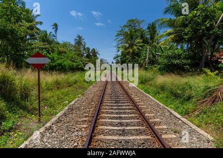 Eisenbahn in der Mitte der schönen grünen Landschaft berühren die Himmel in Sri Lanka Stockfoto