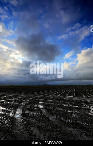 Sturm über schwarzer Erde Felder in der Nähe von Ramsey town, Flussauen, Cambridgeshire, England, Großbritannien Stockfoto