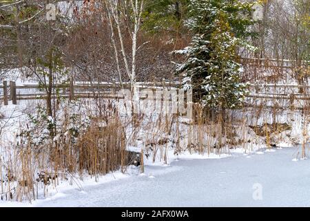 Gefrorener Fluss in einem Feld umgeben von trockenem Grün und Holzzäune unter blauem Himmel Stockfoto