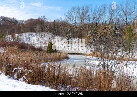 Gefrorener Fluss in einem Feld umgeben von trockenem Grün und Holzzäune unter blauem Himmel Stockfoto