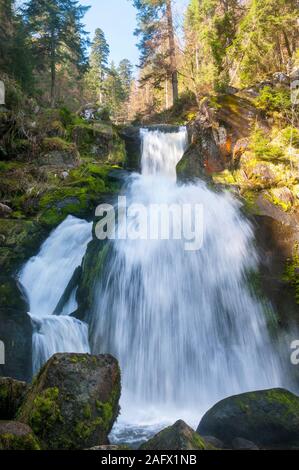 Wasserfall Triberg im Schwarzwald, Baden-Württemberg, Deutschland Stockfoto