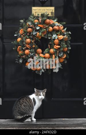 Larry die Katze wartet in 10 Downing Street, London. PA-Foto. Bild Datum: Dienstag, 17 Dezember, 2019. Photo Credit: Kirsty O'Connor/PA-Kabel Stockfoto