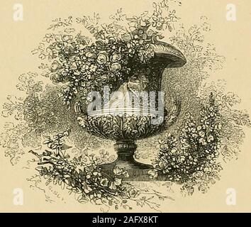 . Paxton's Magazine für Botanik und Register der blühenden Pflanzen. Durch das Internet Archiv 2011 mit der Finanzierung von LYRASIS IVIembers und Sloan Foundation Www.archive.org/details/paxtonsmagazineo08paxt PAXTONS MAGAZIN MAGAZIN FÜR BOTANIK BOTANIK, EEGISTER DER BLÜTENPFLANZEN digitalisiert.. Howf ra aller bxic. Volumen der achten. LONDON veröffentlicht, die von der virtuellen Maschine. S. ORR & Co., PATERNOSTEit koW MDCCCXH. LONDON: UItjDDtmV A. VD KVANS, PUJNTIIRS, UHITEFHIARS. Gräfin von GAEL ISLE, ALS TRIBUT TU IllCU LADYSHIPS INNIGE VERBINDUNG MIT EINIGEN DER BERÜHMTESTEN FÖRDERER DER BOTANIK; ABER NOCH VIEL MEHR FÜR EINE HU Stockfoto