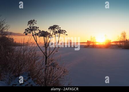 Die Sonne über einen gefrorenen Fluss im Norden Finnlands. Der Nebel steigt aus dem Fluss und decken die Bereiche. Stockfoto